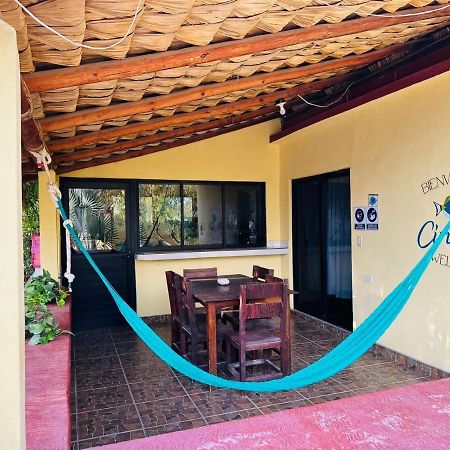 Appartement Bungalow Cirujano à Cabo Pulmo Extérieur photo