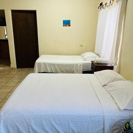 Appartement Bungalow Cirujano à Cabo Pulmo Extérieur photo