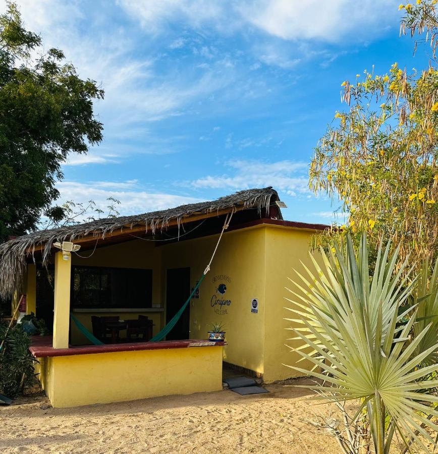 Appartement Bungalow Cirujano à Cabo Pulmo Extérieur photo