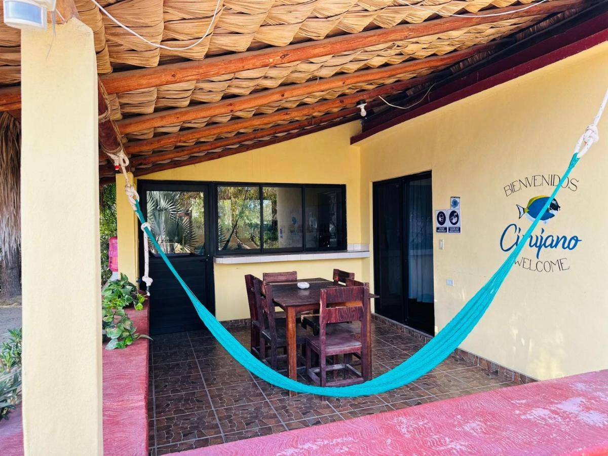 Appartement Bungalow Cirujano à Cabo Pulmo Extérieur photo