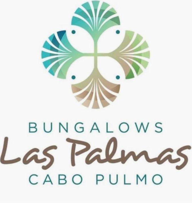 Appartement Bungalow Cirujano à Cabo Pulmo Extérieur photo