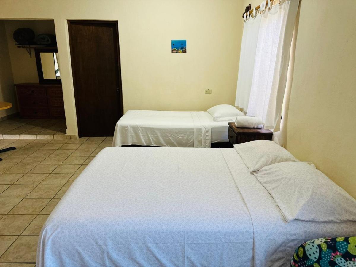 Appartement Bungalow Cirujano à Cabo Pulmo Extérieur photo
